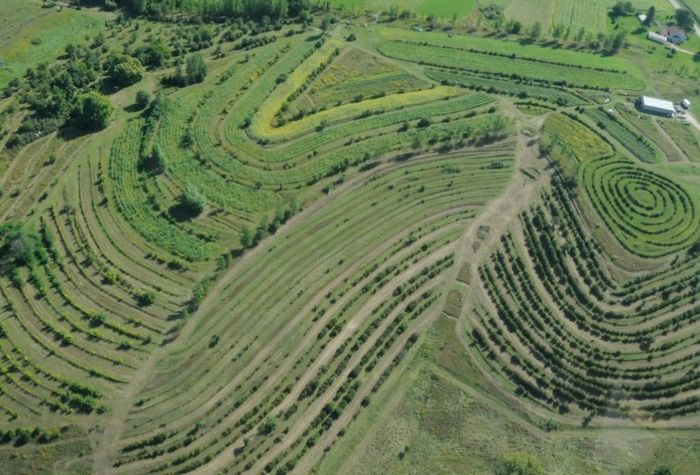 Luftbild einer Permakultur-Farm in den USA