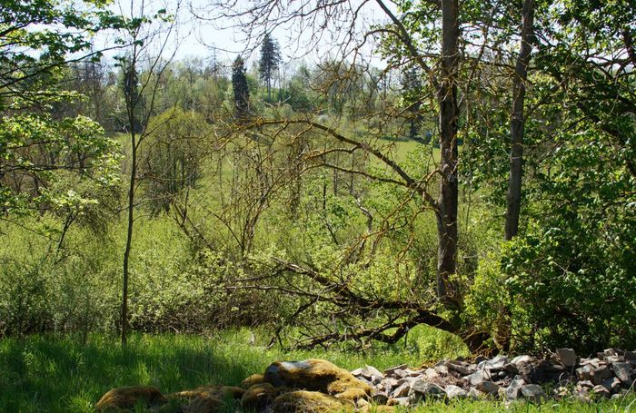 Blick in ein Tal mit vielen verschiedenen Gehölzen und mit Wiesen