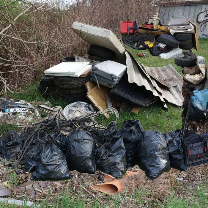 Auch zum Frühjahrsputz 2019 am Seehaus kamen wieder Unmengen an Müll zusammen.