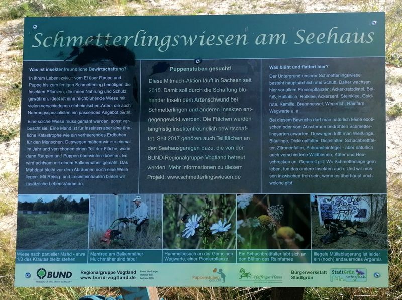 Eine von Graffiti gereinigte Informationstafel zur Schmetterlingswiese am Seehaus in Plauen