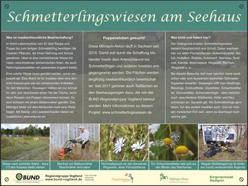 Informationstafel zu den Schmetterlingswiesen am Plauener Seehaus