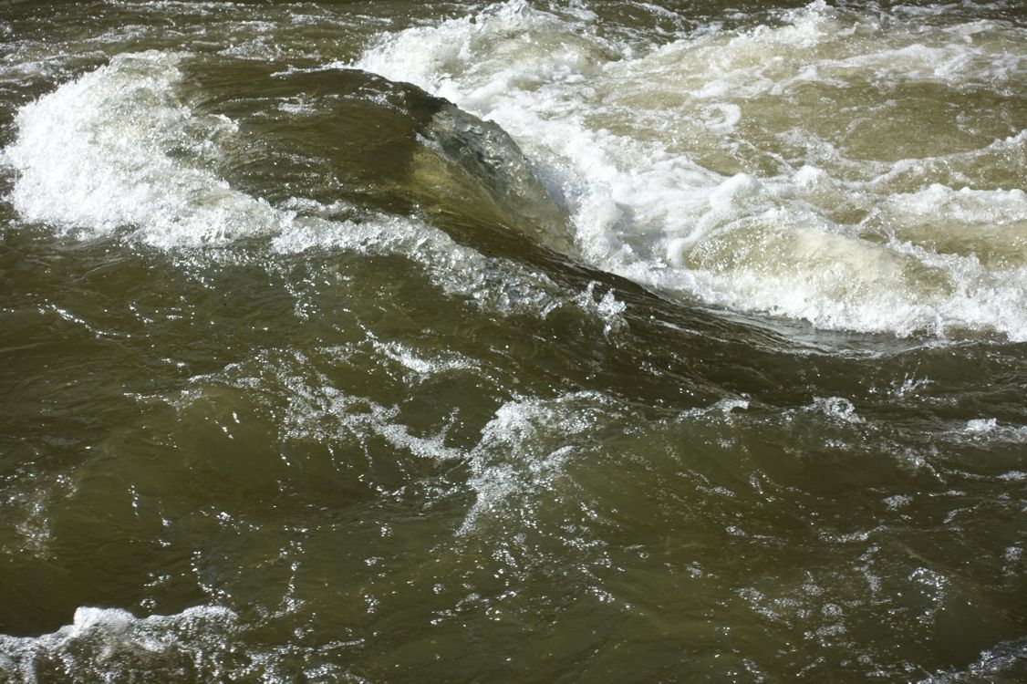 Wasser sprudelt über Felsbrocken, die im Flussbett liegen