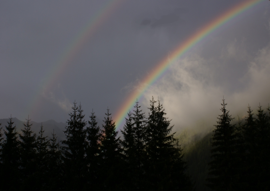 Doppelter Regenbogen über einem Wald