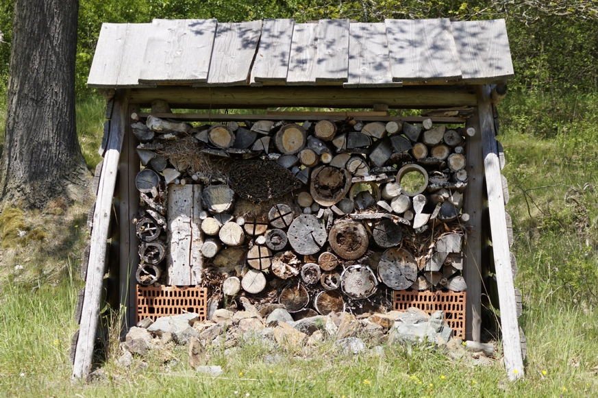 Ein überdachter Holzstapel als Insektenhotel