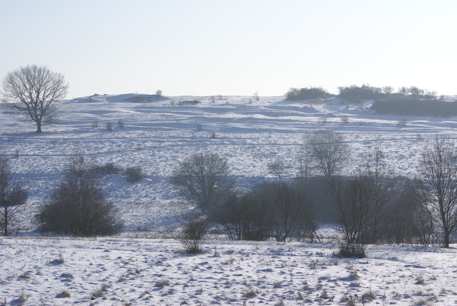 Die verschneite Landschaft wird von weichen Schatten der tiefstehenden Wintersonne modelliert.