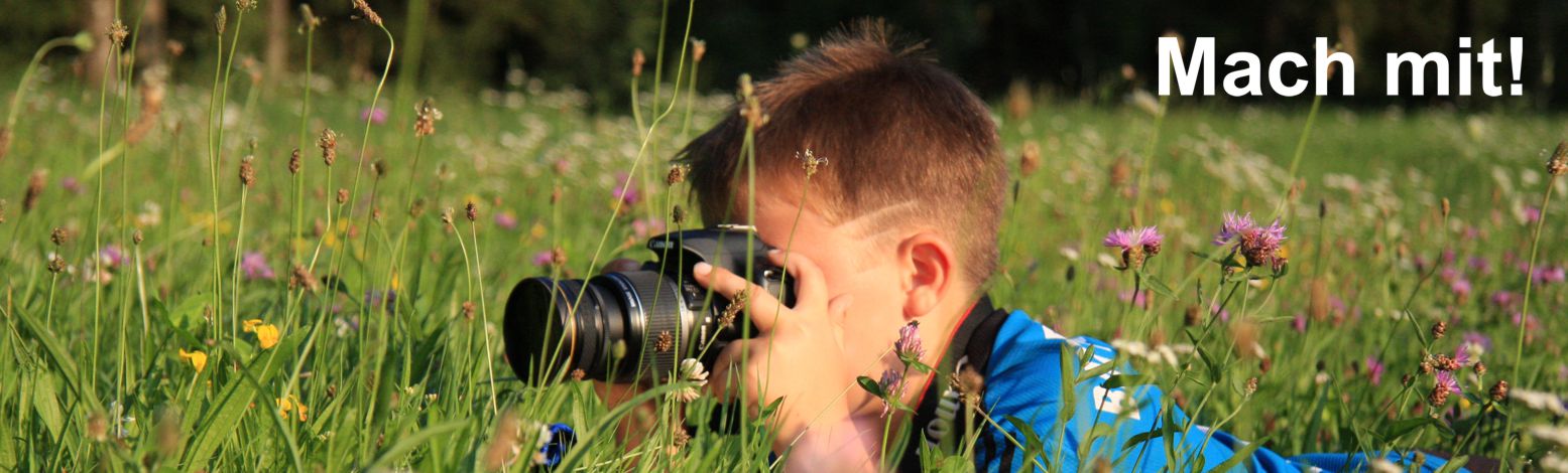 Ein Junge liegt im Gras und fotografiert die Natur